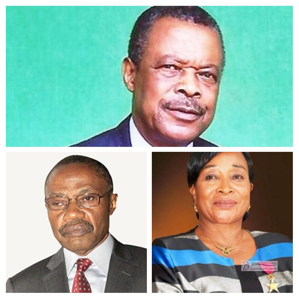 Cameroun Nouveaux Présidents de Conseil d Administration pour Trois