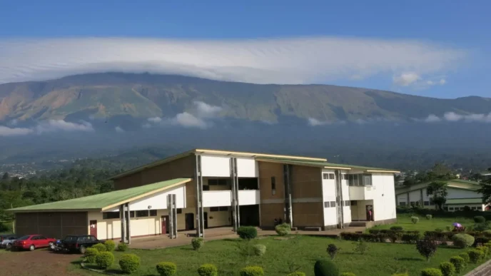 Le concours d'entrée à la faculté d'ingénieurie et technologique de l'université de Buea sont disponibles