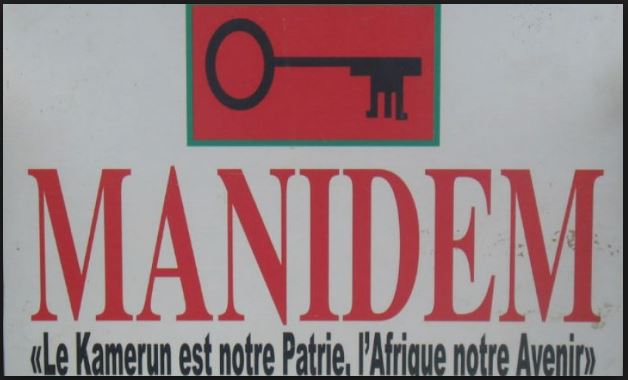 MANIDEM image