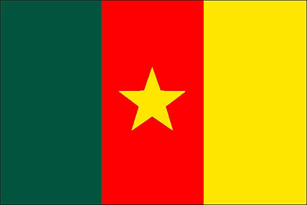 1009477 Drapeau du Cameroun