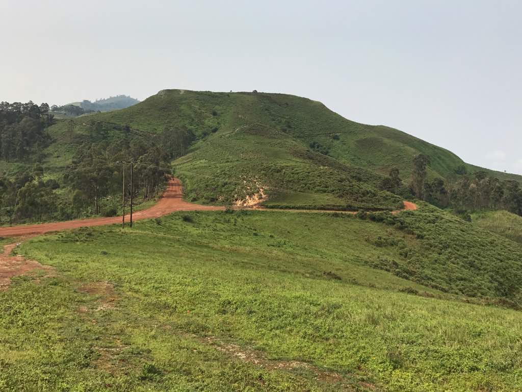 Donga Mantung Division