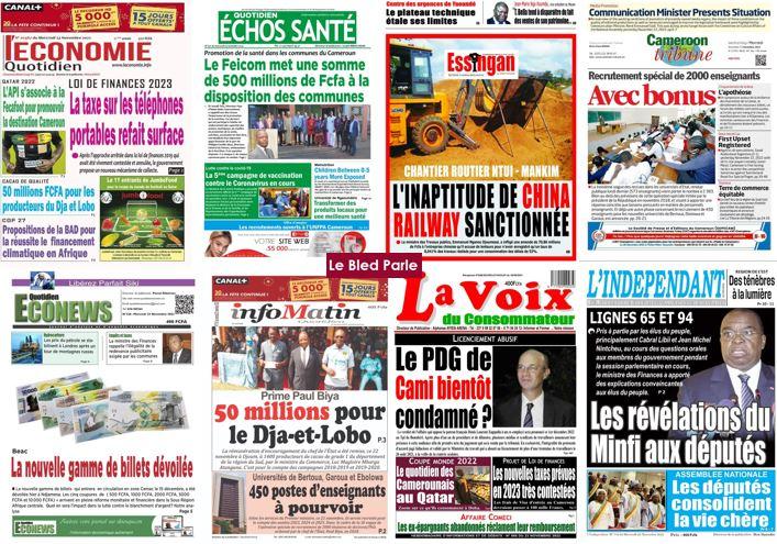 Revue De Presse Au Cameroun Actualité Revue De Presse Au Cameroun