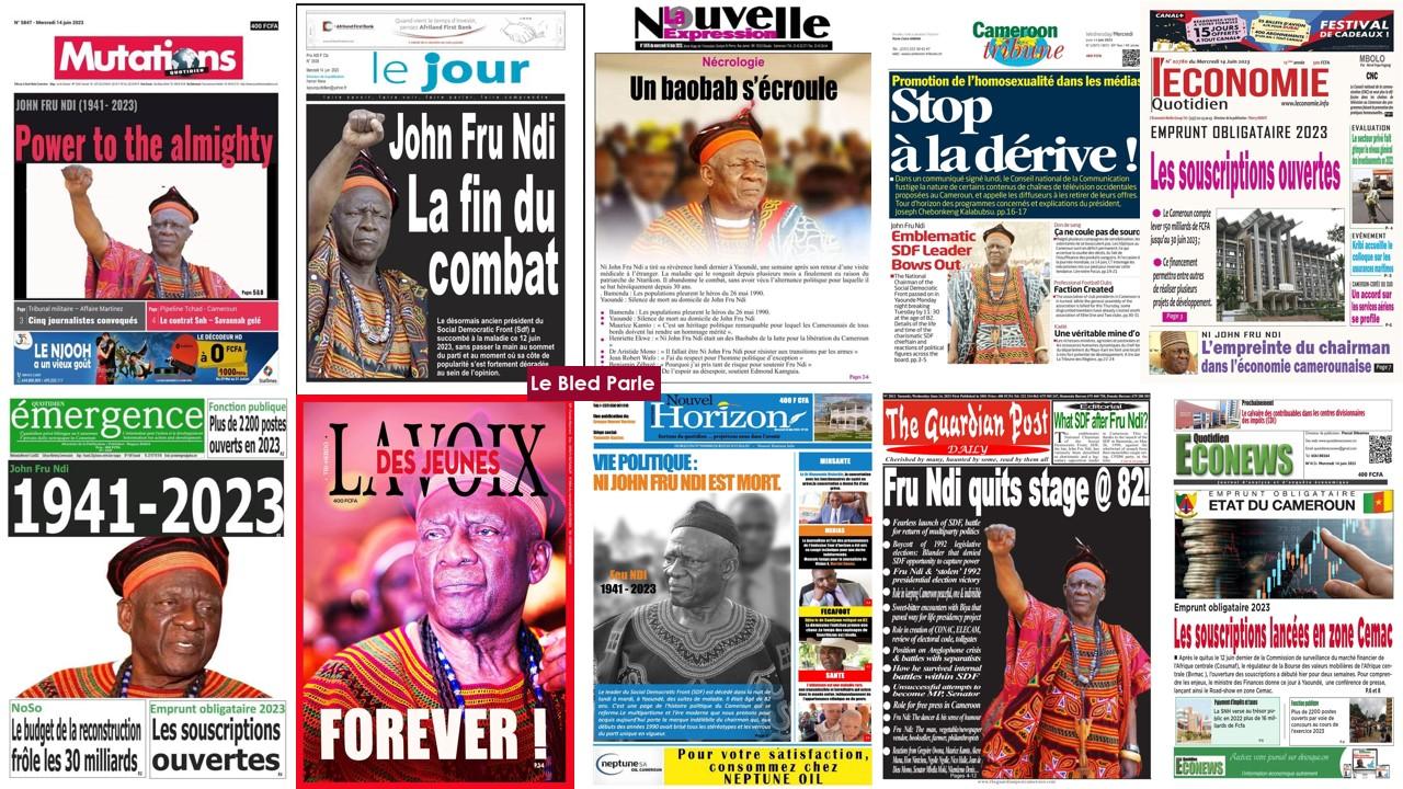 La Revue De Presse Camerounaise Du Mercredi 14 Juin 2023 Lebledparle