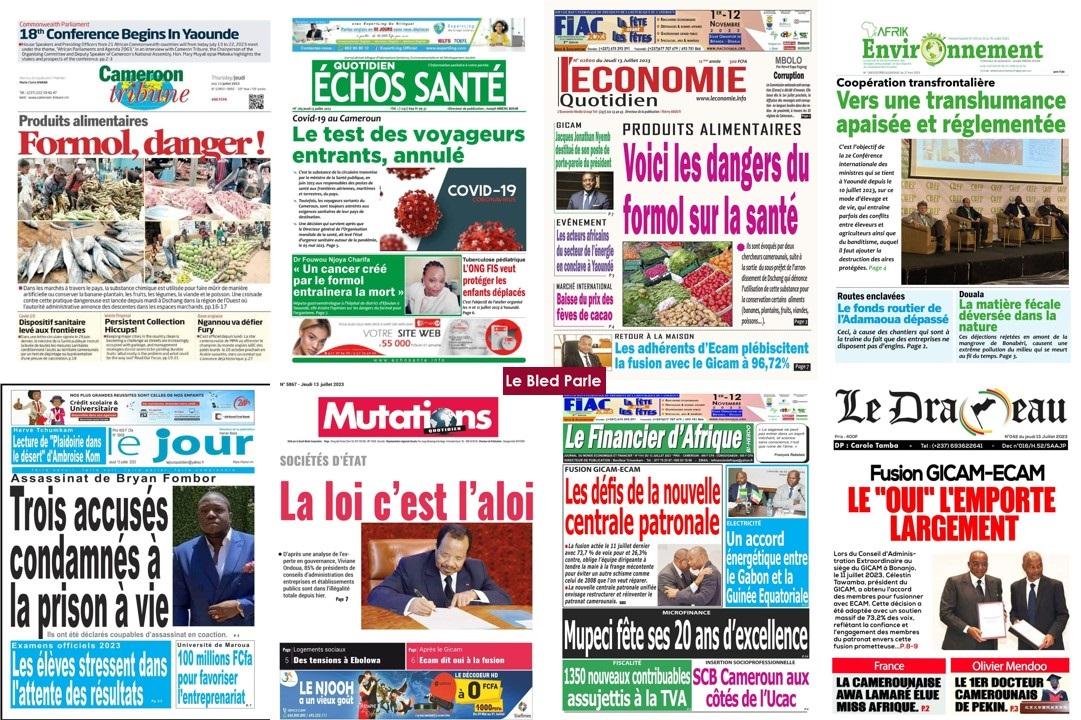 La Revue De Presse Camerounaise Du Vendredi 14 Juillet 2023 Lebledparle