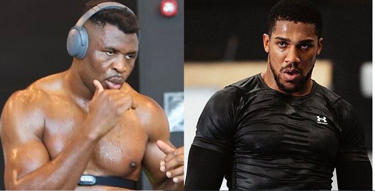Joshua Ngannou