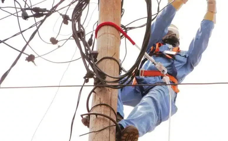 blobeleq eneo 1140x480.jpg e1725218433866