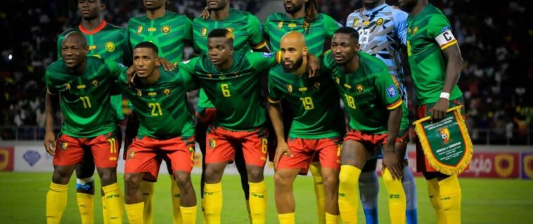 lions indomptables 1140x480 1
