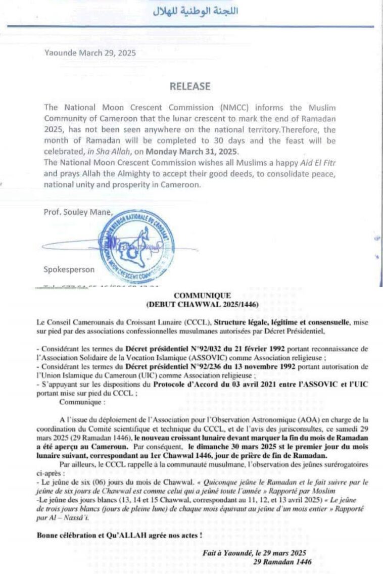img 1743324773537