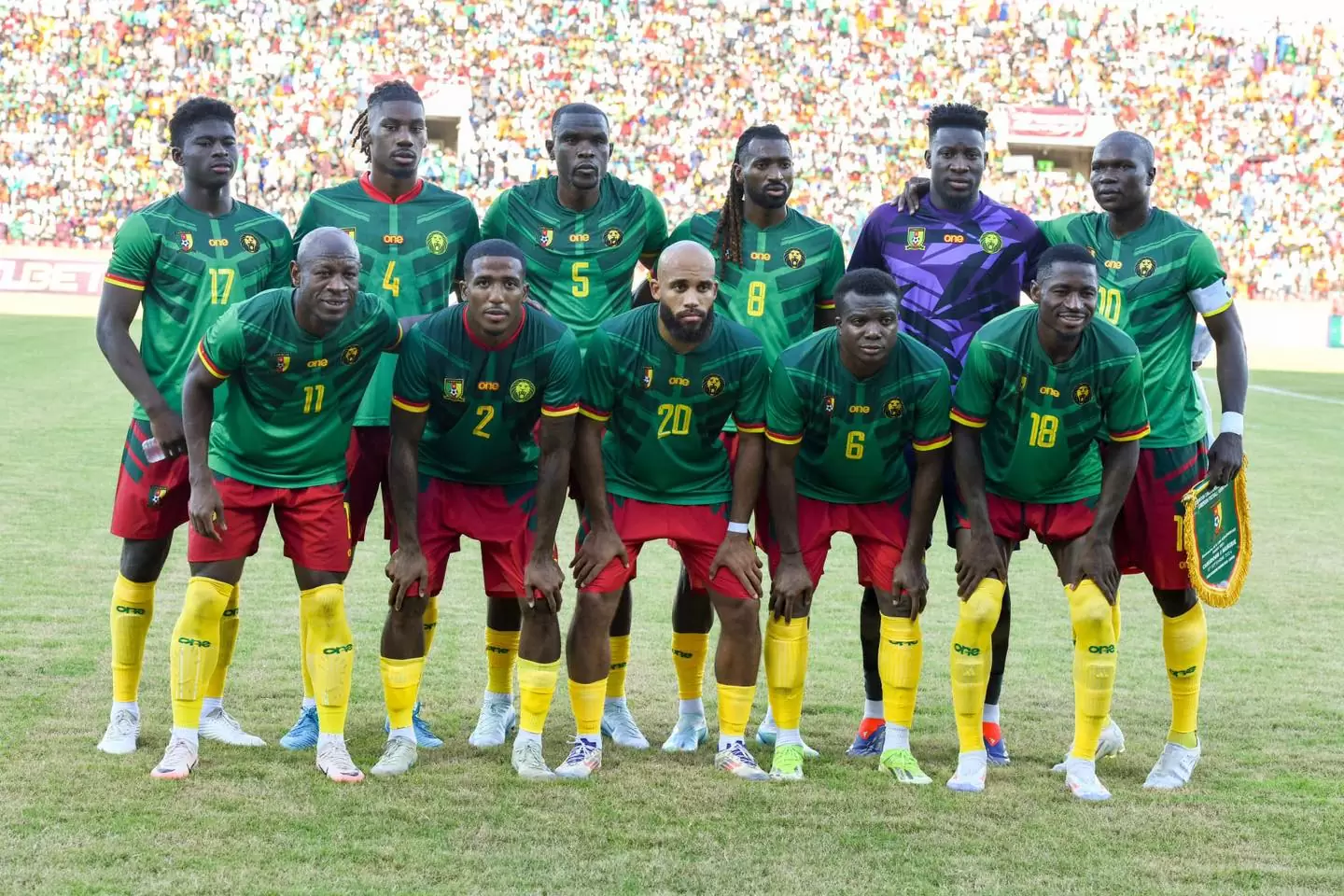 Les Lions Indomptables